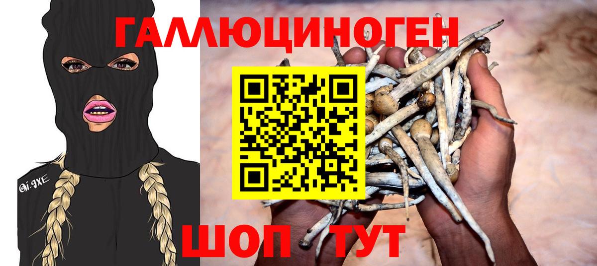 Героин Урус-Мартан