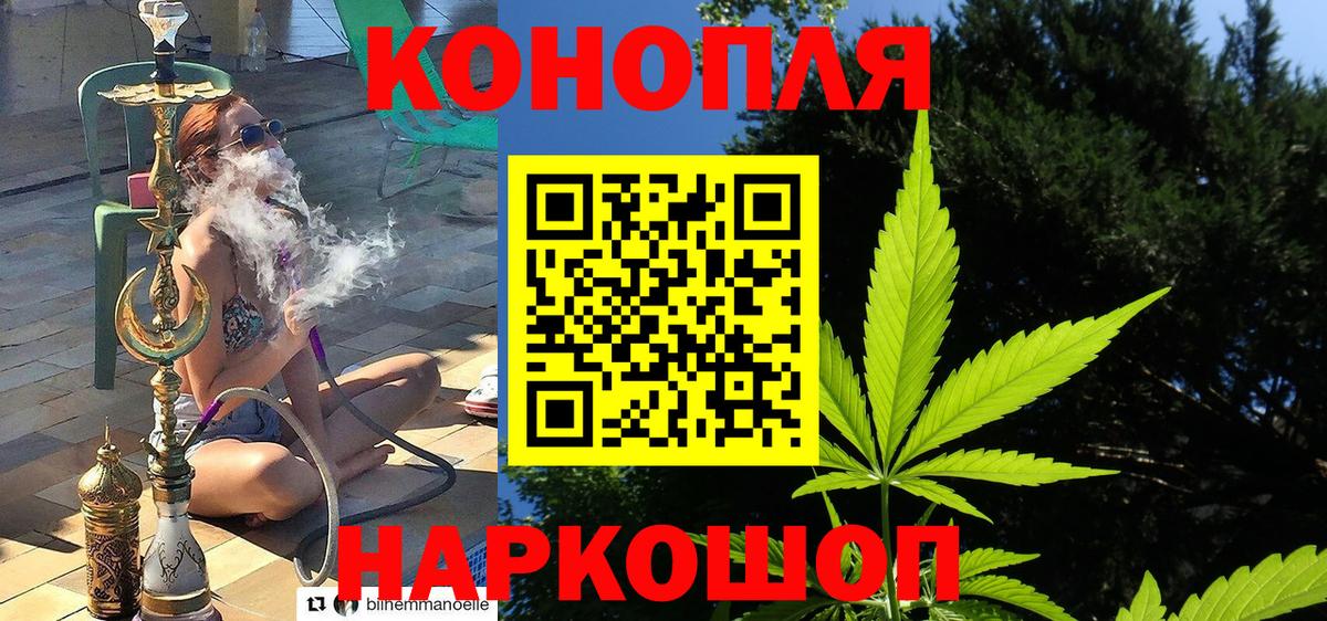 Бошки марихуана White Widow Урус-Мартан